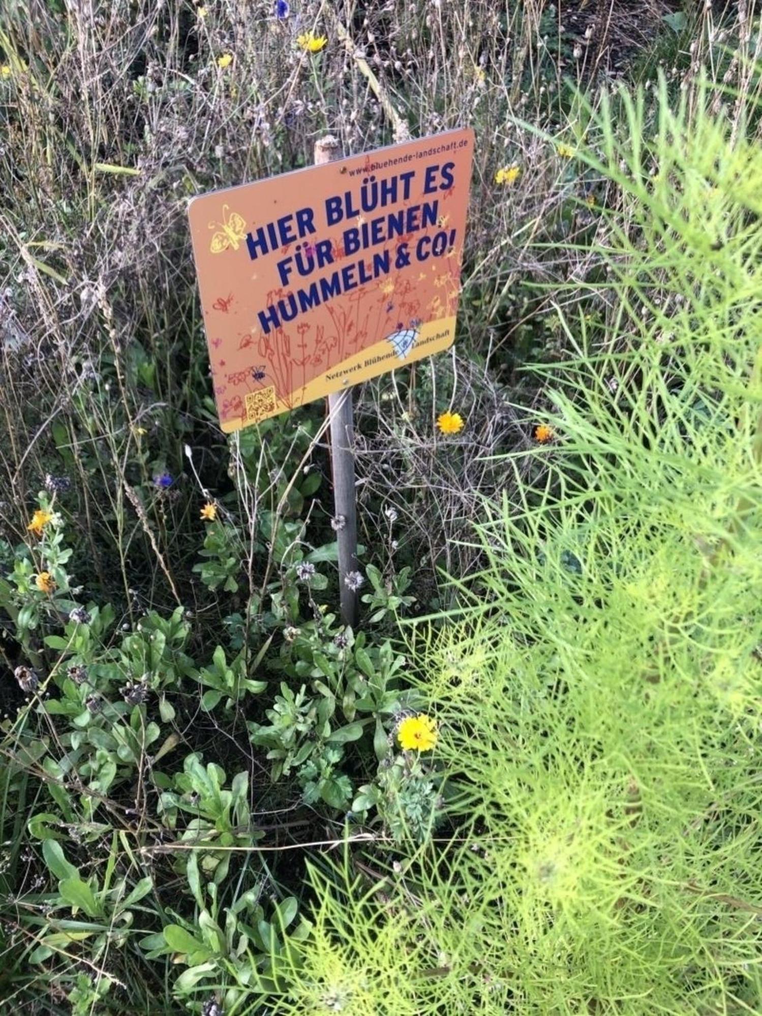 Meeresperle 5 Meeresrauschen Klutz Bagian luar foto